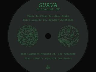 Guava – Guitarist